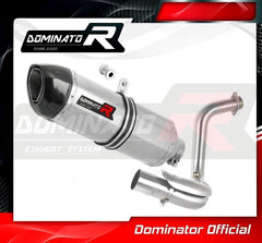 Dominator HP1 Slip-On Exhaust for BMW G 310 GS 2016-22