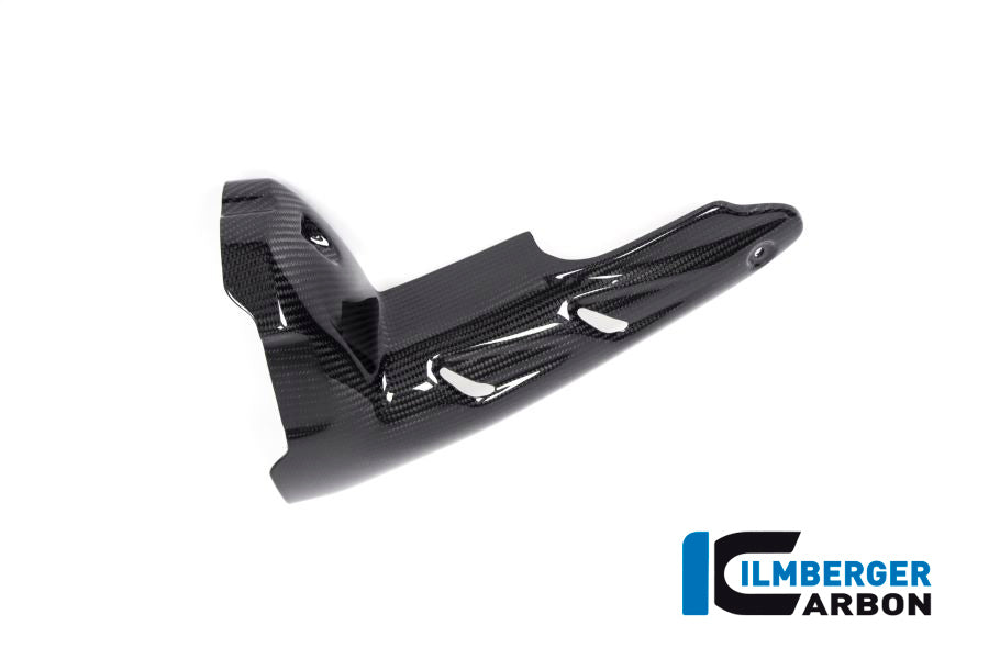 Ilmberger Carbon Fibre Front Exhaust Protector For BMW R 1250 GS 2019-22